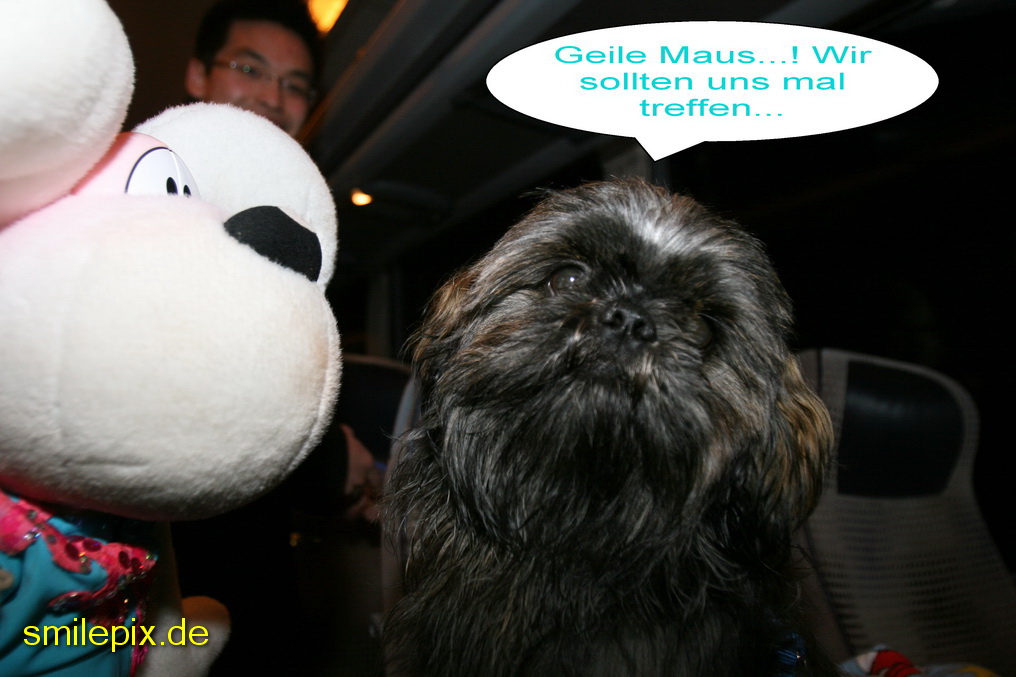 Norden 28.3.09 (1708)